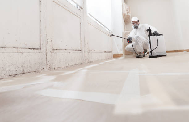 24/7 Emergency Black Mold Remediation experts in California, MD