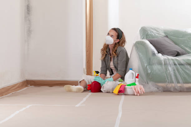 Reliable Black Mold Remediation contractor in California, MD by 24 Hour Mold Removal